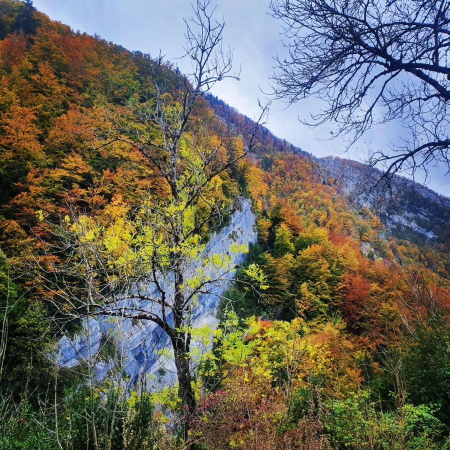 Gite Les Moulins Septmoncel-Les-Molunes Buitenkant foto